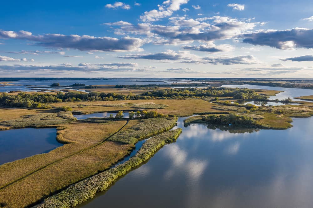 Őszi kirándulás Magyarország legszebb tópartjain - Tisza-tó – a természet őszi csendje Őszi kirándulás Magyarország legszebb tópartjain - Tisza-tó – a természet őszi csendje