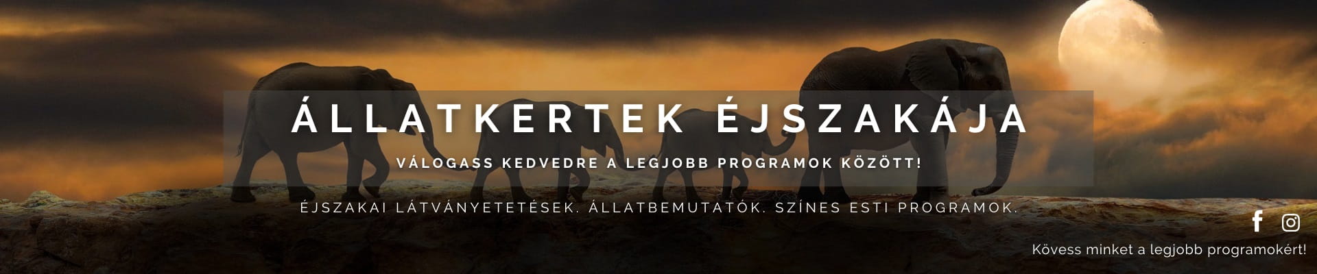 Állatkertek Éjszakája